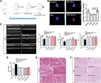 Breviscapine remodels myocardial glucose and lipid metabolism by regulating serotonin to alleviate doxorubicin-induced cardiotoxicity